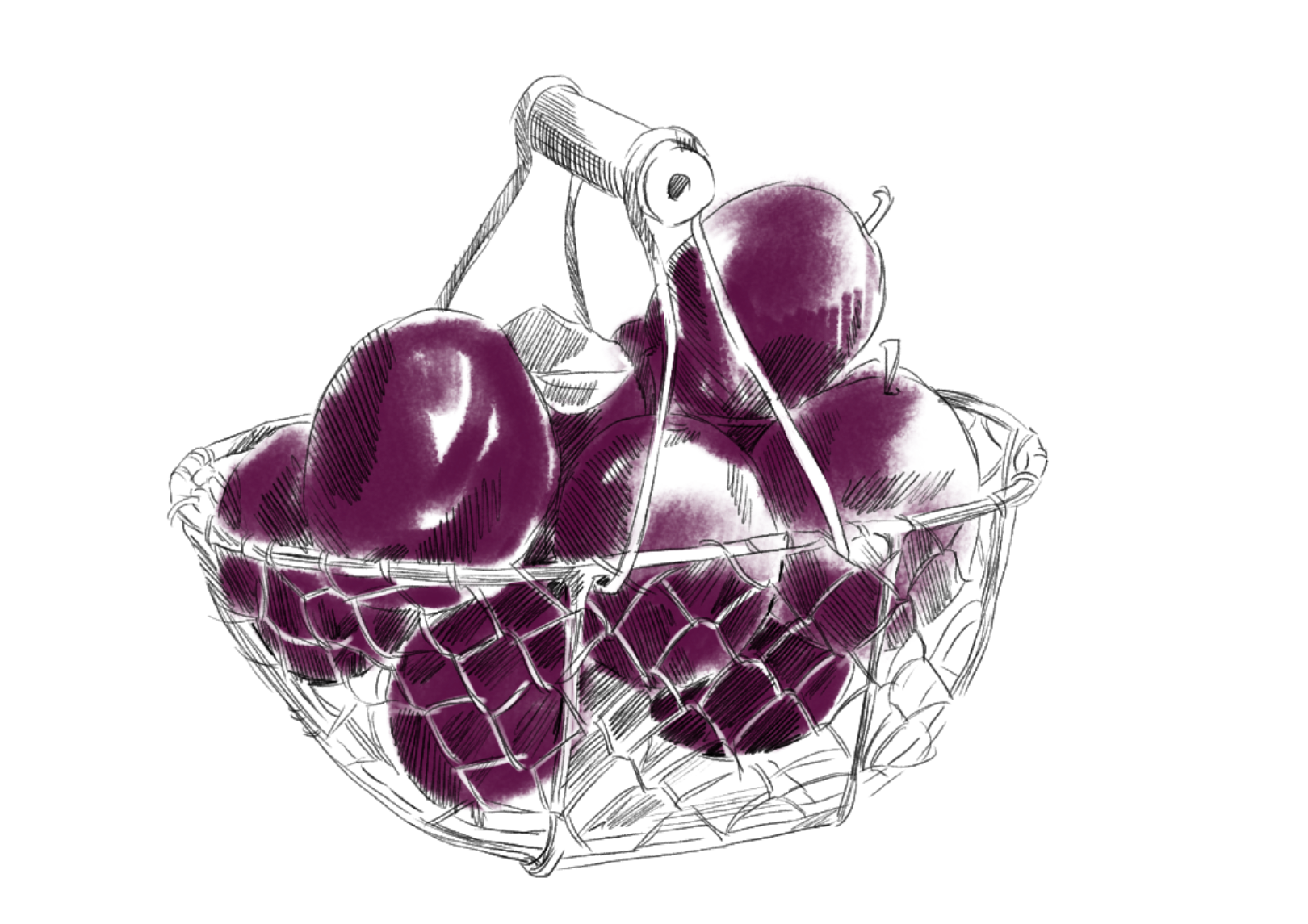 Portfolio_Pflaumen_Korb